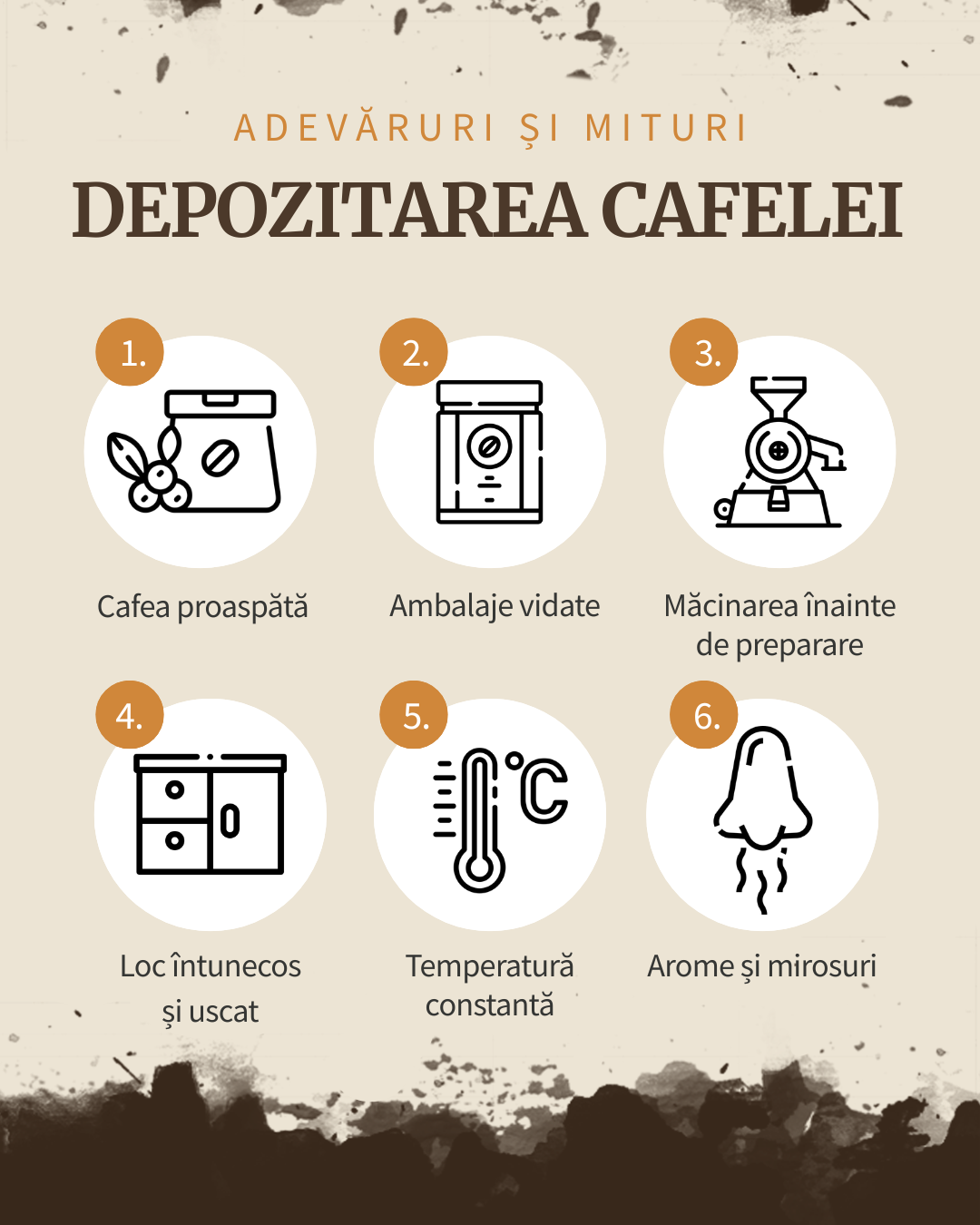 Depozitarea Cafelei
