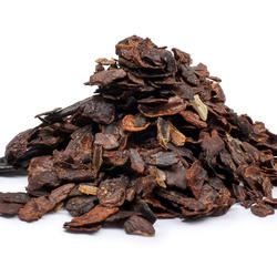 CASCARA COSTARICA