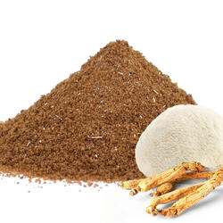 Cafea solubilă adaptogenă cu ginseng și coama leului (Hericium erinaceus)