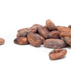 VENEZUELA SUR DEL LAGO SUPERIOR - boabe de cacao crude