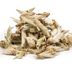 CHINA YUNNAN WILD TEA BUDS - ceai verde